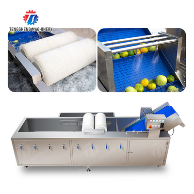 Wash Washer Washing Cleaning Brush bubble cleaning machine Carrots and longitudinal root vegetables Onions Leafy vegetables Cabbage varieties Herbs Fruiting vegetables