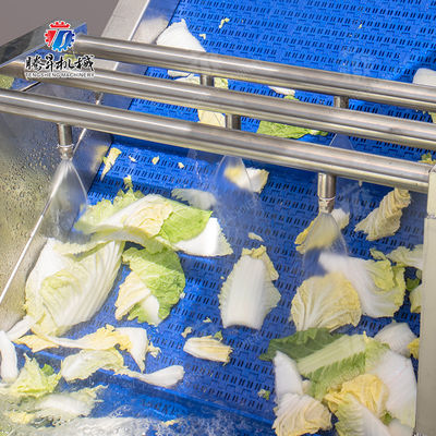 Vegetables Leaves Vegetables Onions Leafy vegetables Cabbage varieties Herbs Fruiting vegetables bubble washing machine