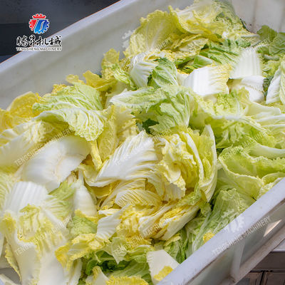 Vegetables Leaves Vegetables Onions Leafy vegetables Cabbage varieties Herbs Fruiting vegetables bubble washing machine