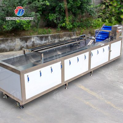 X Final Product Fruit And Vegetable Processing Line Advanced Technology