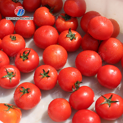 X Final Product Fruit And Vegetable Processing Line Advanced Technology