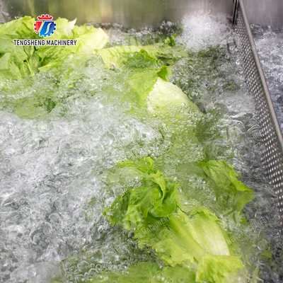 X Final Product Fruit And Vegetable Processing Line Advanced Technology