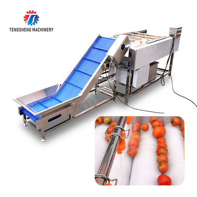 Orange Potato  Onions Ginger Potato Carrot Taro Sweet potato Yam Saiko persimmon papaya horseshoe Simple melon and fruit lifting and brush roller cleaning production line