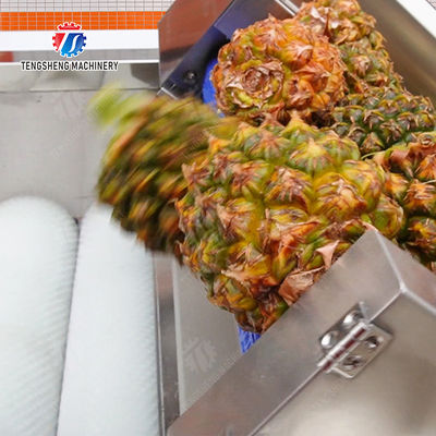 Orange Potato  Onions Ginger Potato Carrot Taro Sweet potato Yam Saiko persimmon papaya horseshoe Simple melon and fruit lifting and brush roller cleaning production line