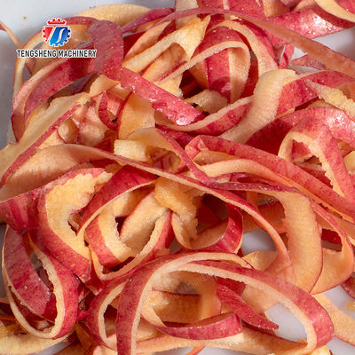 Apple peeling and remove core machine processing production Supplying Decoring Machine