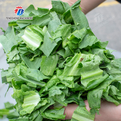 Single-head vegetable cutter waterproof type Vegetable Leaves Vegetables Potatoes and round tuber crops Carrots and longitudinal root vegetables Cabbage varieties Potato Carrot onion Greens