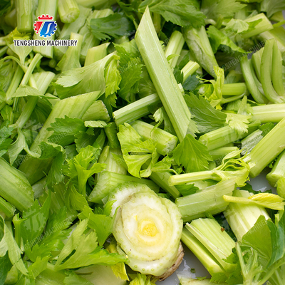 Single-head vegetable cutter waterproof type Vegetable Leaves Vegetables Potatoes and round tuber crops Carrots and longitudinal root vegetables Cabbage varieties Potato Carrot onion Greens