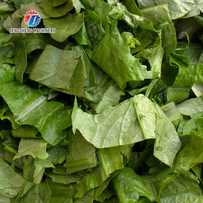Single-head vegetable cutter waterproof type Vegetable Leaves Vegetables Potatoes and round tuber crops Carrots and longitudinal root vegetables Cabbage varieties Potato Carrot onion Greens