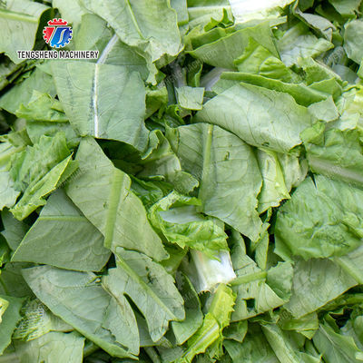 Pork Slices Sliced cooked pork head Cut the snow ear cooked meat slicer machine Vegetable and Meta Cutting Beef Pork Chicken Lamb Carrot