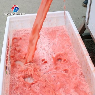 Fruit Orange Vegetable Fish  Herbs Beef Pork Chicken Lamb Fish MEAT Saiko persimmon Apple Ginger chili onion garlic minced meat minced pork fruit juice orange juice Tomato juice apple celery juice