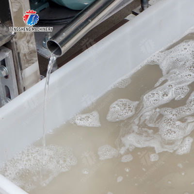 Fruit Vegetable Celery Juice kale Kale Juice Spinach juice Juice made from wild cherry plums Spiral juice extractor