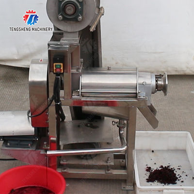 Spiral juice extractor Fruit Vegetable Celery Juice kale Kale Juice Spinach juice Juice made from wild cherry plums