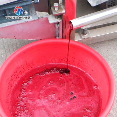 Spiral juice extractor Fruit Vegetable Celery Juice kale Kale Juice Spinach juice Juice made from wild cherry plums