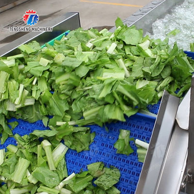 Washing Hoisting machine Fruit Orange Vegetable Apple pineapple Ginger Potato Carrot Sweet potato Yam cucumber chili onion okra Lettuce Cao Xin Baby Cabbage Chinese Cabbage processing production