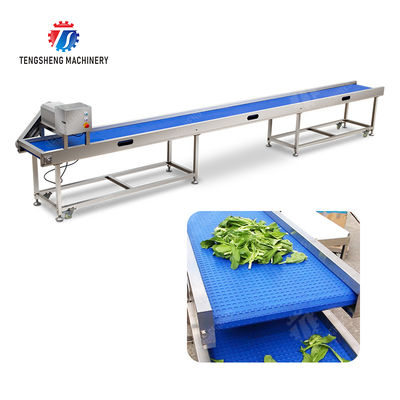 Fruit Vegetable sward beans soybeans green beans chickpeas beans red beans mung beans  green peas beans Saiko persimmon Potato Carrot radish onion chili eggplant Conveyor table