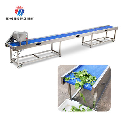 Fruit Vegetable sward beans soybeans green beans chickpeas beans red beans mung beans  green peas beans Saiko persimmon Potato Carrot radish onion chili eggplant Conveyor table