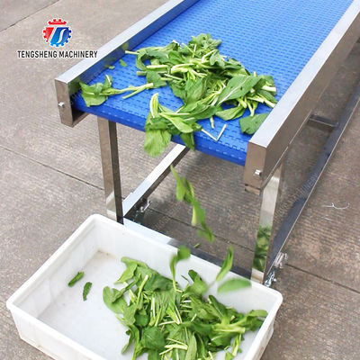 Fruit Vegetable sward beans soybeans green beans chickpeas beans red beans mung beans  green peas beans Saiko persimmon Potato Carrot radish onion chili eggplant Conveyor table