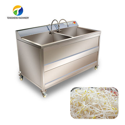 150KG Commercial fruit and vegetable washing machine large bubble washing machine spinach lettuce washing machine