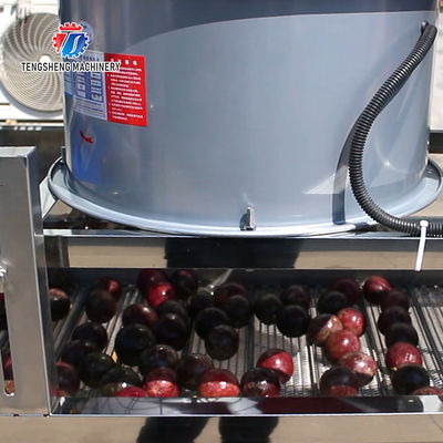 Fruit and vegetable brush bubblecleaning and drying production line Fruit Vegetable FOOD processing production Machine