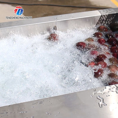 Fruit and vegetable brush bubblecleaning and drying production line Fruit Vegetable FOOD processing production Machine