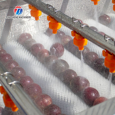 Fruit and vegetable brush bubblecleaning and drying production line Fruit Vegetable FOOD processing production Machine