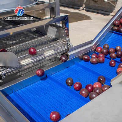 Fruit and vegetable brush bubblecleaning and drying production line Fruit Vegetable FOOD processing production Machine