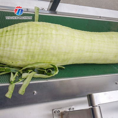 350KG 2.2KW Large wax gourd conveyor belt type peeler Horizontal wax gourd peeler supply planer
