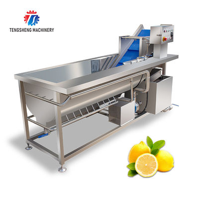 180KG Vegetable apple multi-function air bubble cleaning machine Eddy current fruit and vegetable cleaning machine