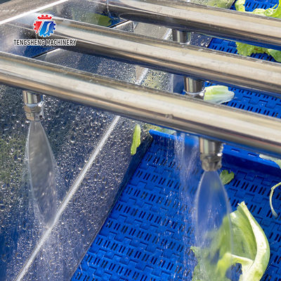 180KG Vegetable apple multi-function air bubble cleaning machine Eddy current fruit and vegetable cleaning machine