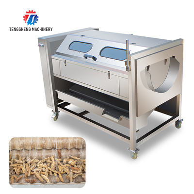 1500KG/H Agricultural products equipment, root and stem peeling cleaning machine, horseshoe cleaning and mud removal mac