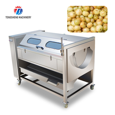 Brush Potato Washing And Peeling Machine SS Commercial Vegetable Sealing Cover Type