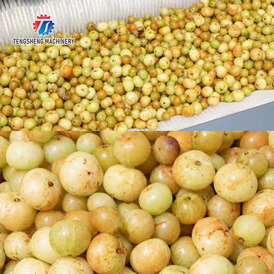 1500KG/H Root Vegetable Washing And Peeling Machine For Restaurant