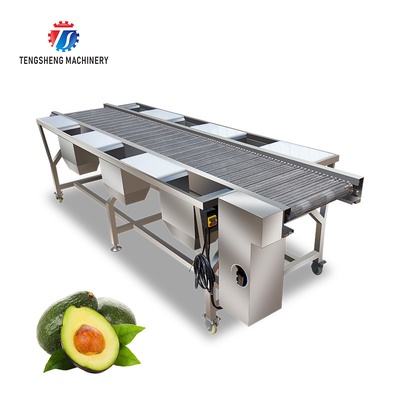 Fruit And Vegetable Production Line Multi Station Selection Cutting Conveyor Table