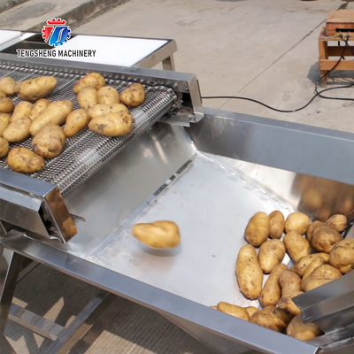 Fruit And Vegetable Production Line Multi Station Selection Cutting Conveyor Table