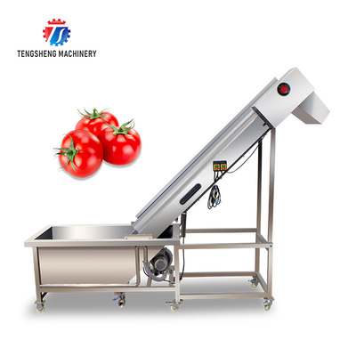 0.375KW Industrial Vegetable Processing Machine Citrus Passion Fruit Pre - Foaming Elevator Machine