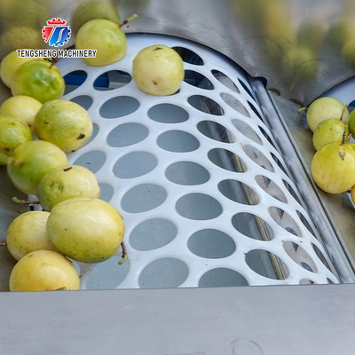 280KG Lemon screening and grading machine special stainless steel roller fruit sorting machine fruit sorting machine