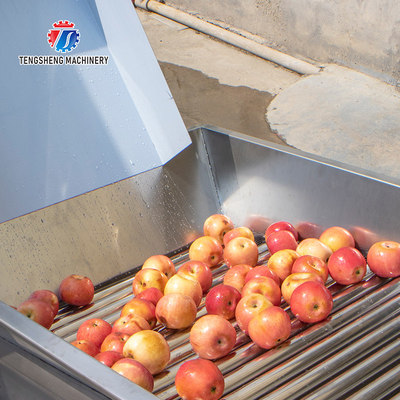 Automatic Cherry Tomato Fruit Sorter Machine Potato Sorting Grading Machine