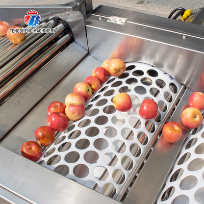 280KG Lemon screening and grading machine special stainless steel roller fruit sorting machine fruit sorting machine