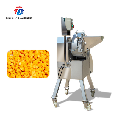 Tengsheng 800KG/H Vegetable Dicer Machine Banana Conveyor SS304