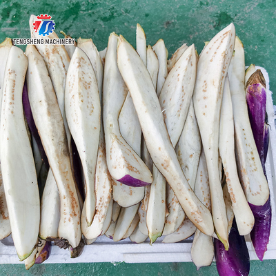 120KG Fruit and vegetable slicing machine eggplant and melon cutting long strip processing cutting long strip equipment