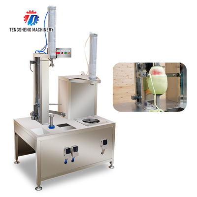 0.75KW 380V  Multi-function peeler watermelon taro cantaloupe white gourd pumpkin peel and peel