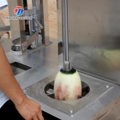 0.75KW 380V The source manufacturer peeling and slicing machine pumpkin wax gourd papaya peel and slicing