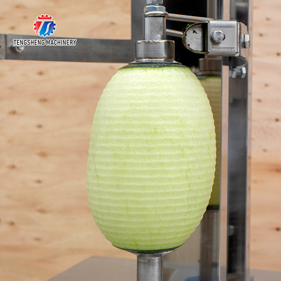 0.75KW 380V  Multi-function peeler watermelon taro cantaloupe white gourd pumpkin peel and peel