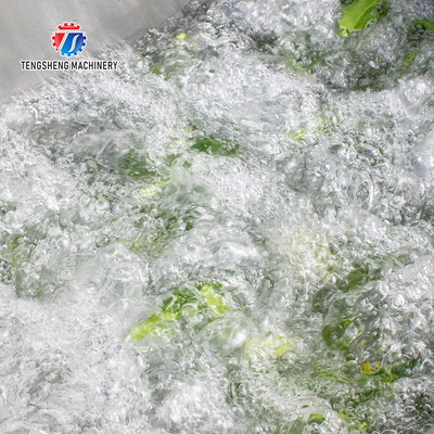 85KG Manufacturers independent research and development of small vegetable washing machine cleaning sand machine