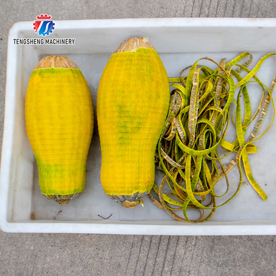 1.0KW 90KG Factory direct small single - head peeler commercial pineapple papaya taro peeling peeling equipment