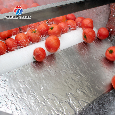 2.5KW Potato flat roller cleaning equipment seafood cleaning machine potato cleaning machine equipment