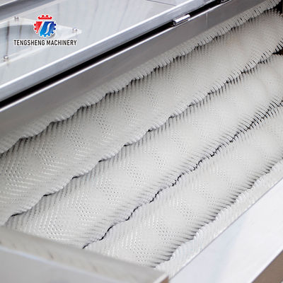 380KG Stainless steel wool roller peeling cleaning machine turnip automatic fruit and vegetable peeling