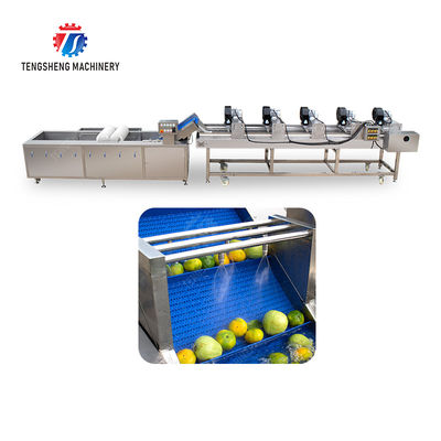 Customized Driven Pesticide Exclude Vegetable Processing Line , Centrifuging Tomato Processing Line