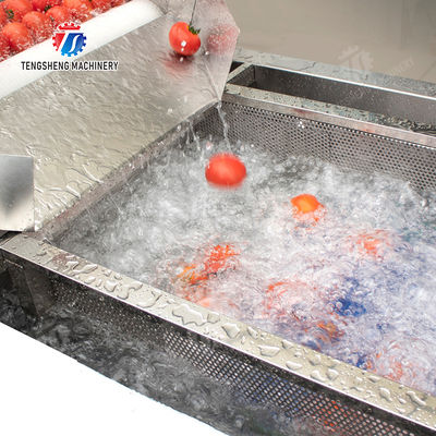 Leaves Leafy vegetables Cabbage varieties Herbs Fruiting vegetables Vegetables bubblewashing machine Wash Washer Washing Cleaning The dish washing machine