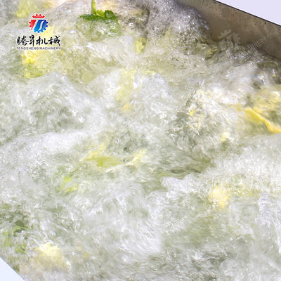 Vegetables Leaves Vegetables Onions Leafy vegetables Cabbage varieties Herbs Fruiting vegetables bubble washing machine